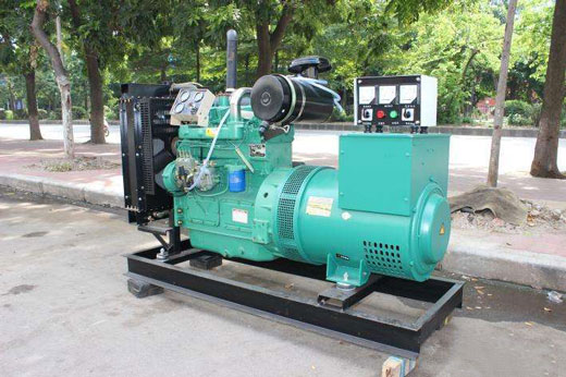 十月田镇发电机不发电的原因 十月田镇发电机不发电的原因